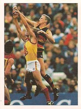 1992 Select AFL Stickers #20 Nigel Smart Front